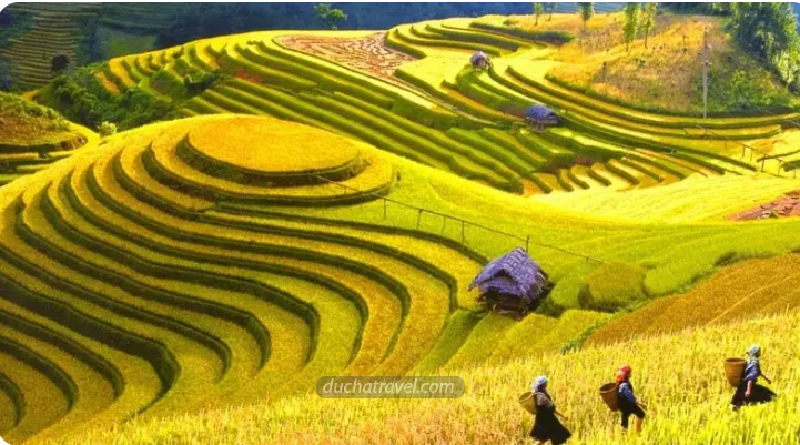 Cho Thuê Đi Điện Biên Tại Đức Hà Travel