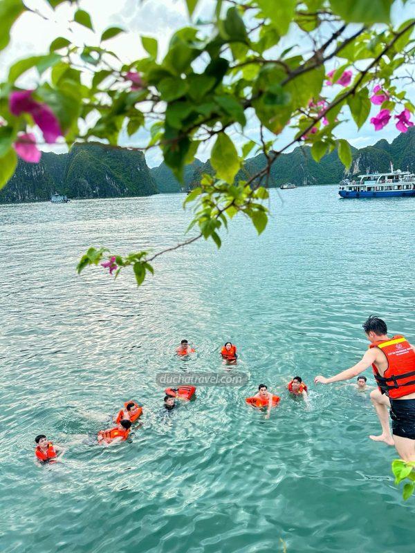 Các dòng xe cho thuê đi Cát Bà tại Đức Hà Travel