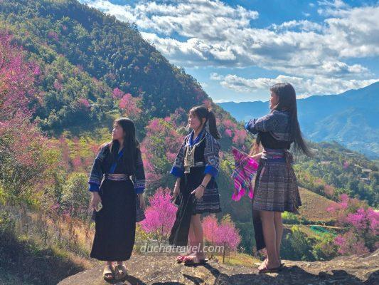 Thuê Xe Du Lịch Hải Phòng Đi Mù Cang Chải