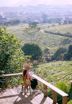 lịch trình du lịch Hải Phòng Mộc Châu