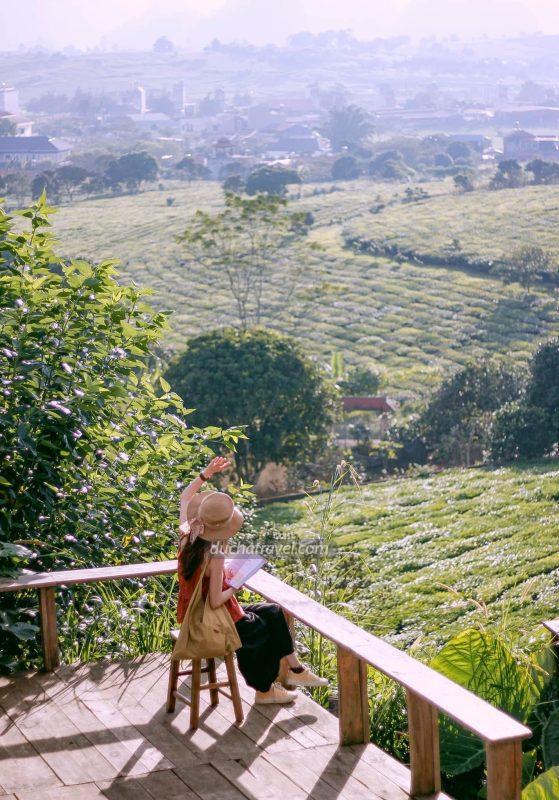 lịch trình du lịch Hải Phòng Mộc Châu