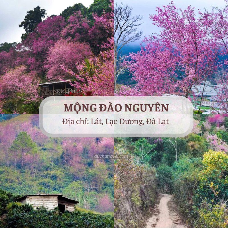 Kinh nghiệm du lịch Hải Phòng đi Đà Lạt bằng ô tô